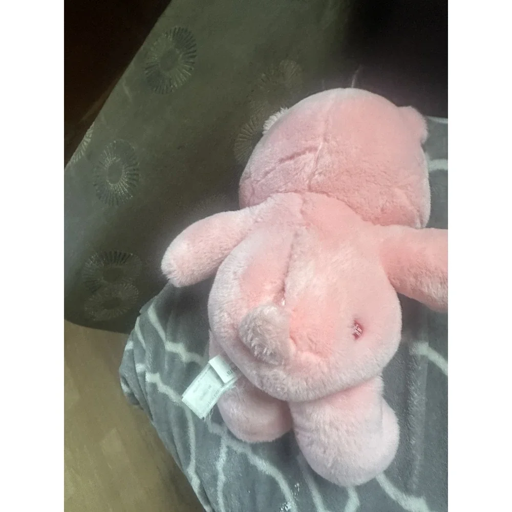 Care Bears Cheer Bear 13'' Plush, Vintage 2002